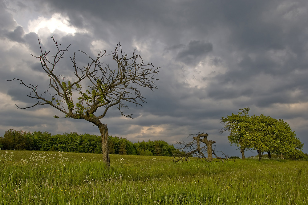 Gewitterstimmung in Pottenstein (Fränkische Schweiz)