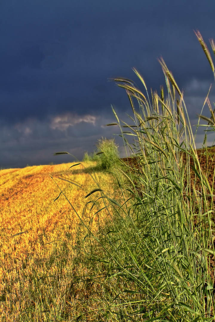 Gewitterstimmung und der Sonnenschein