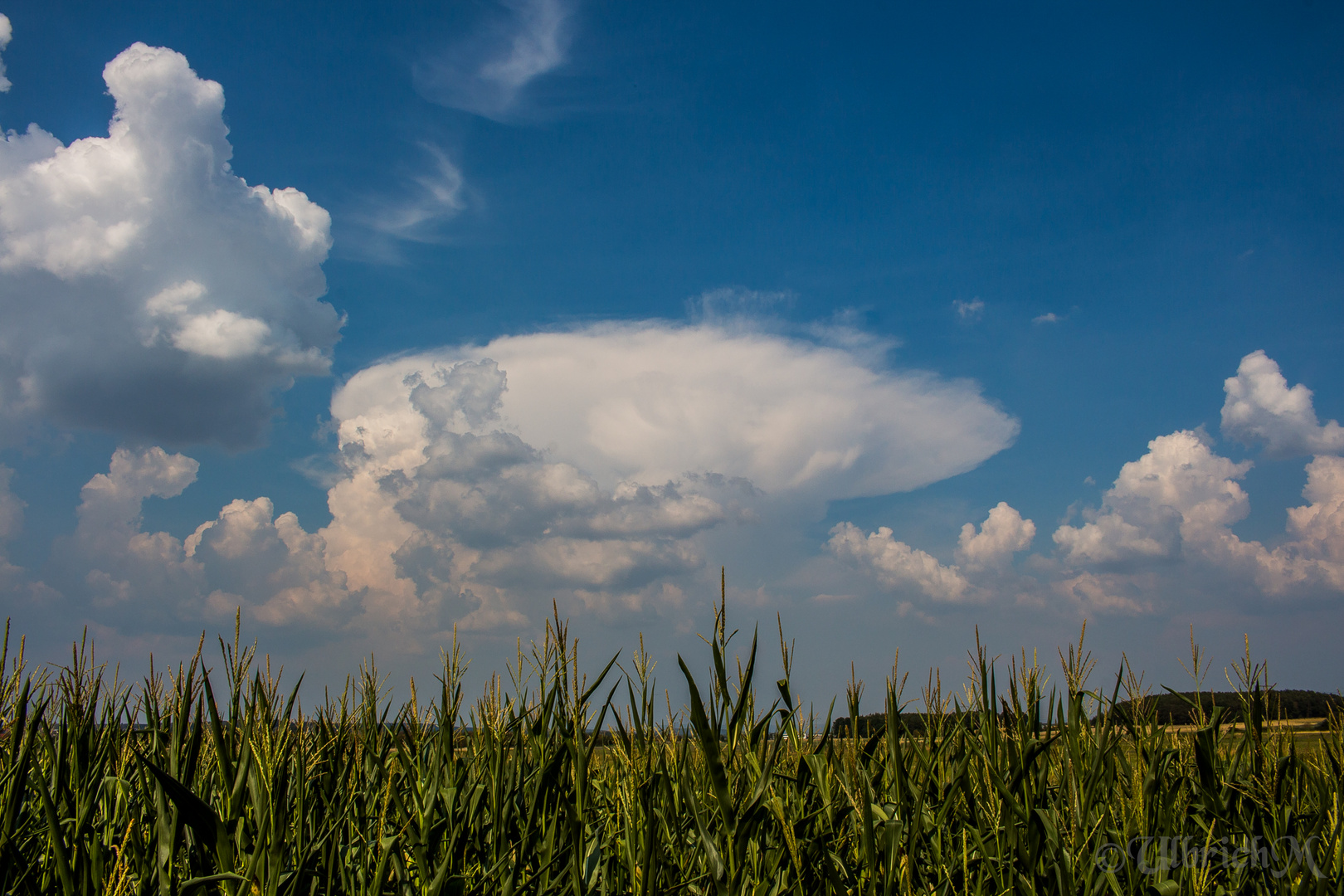 Gewitterwolke