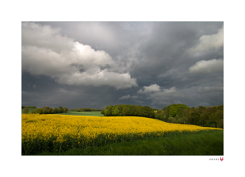 GEWITTERWOLKE