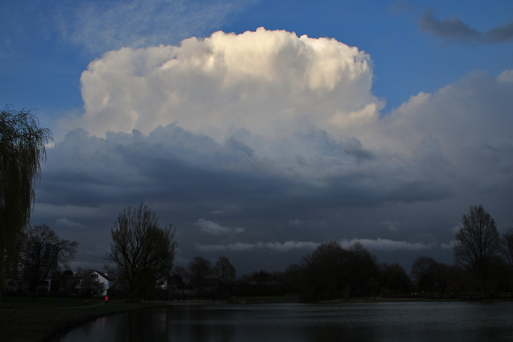 Gewitterwolke am Abend