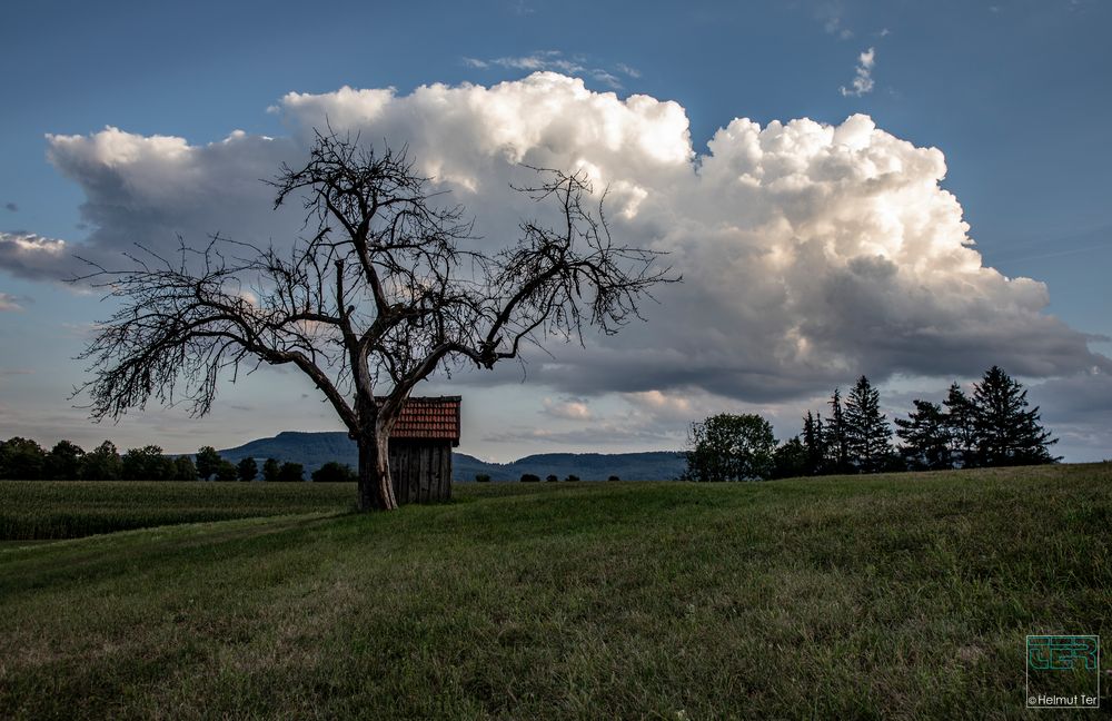 Gewitterwolke