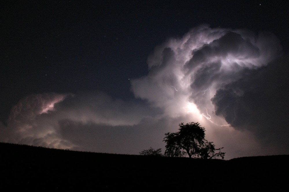 Gewitterwolke mit Baum