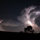 Gewitterwolke mit Baum