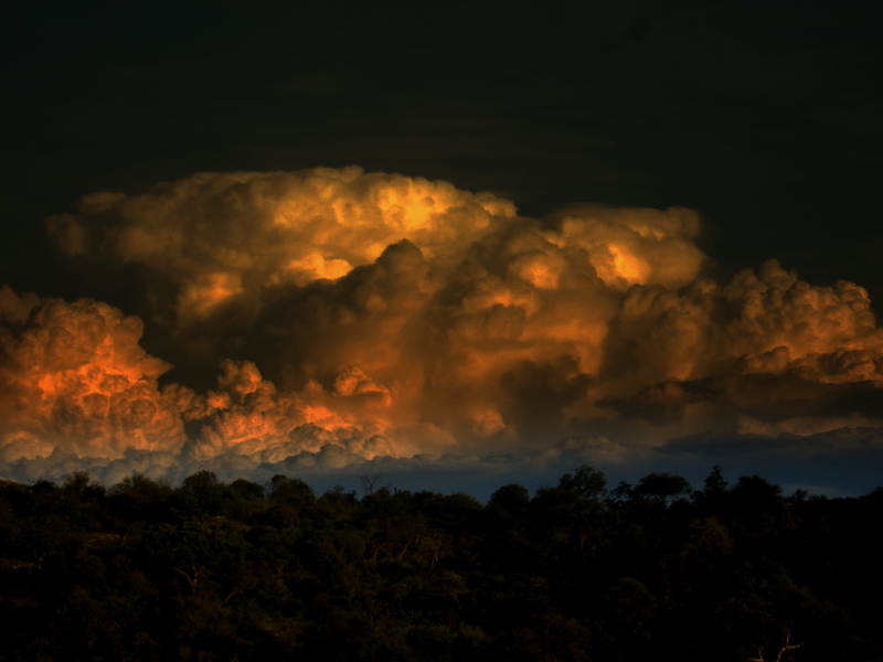 Gewitterwolke über Kruger Park von Peter Bruders 