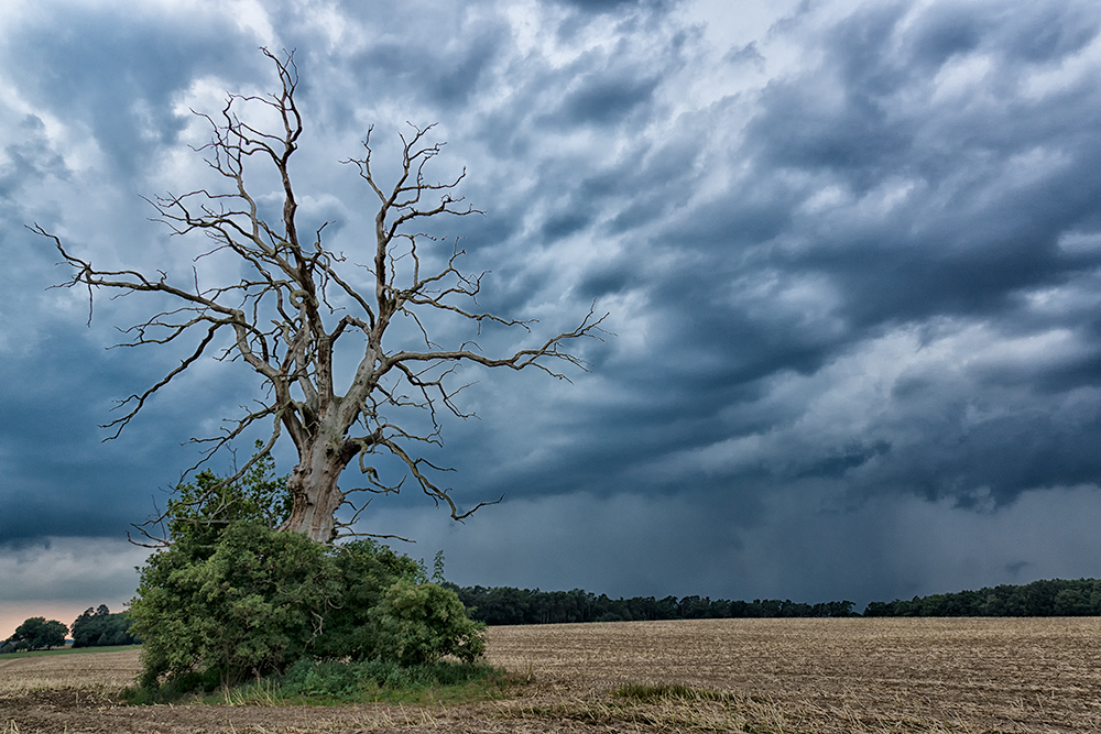 Gewitterwolken