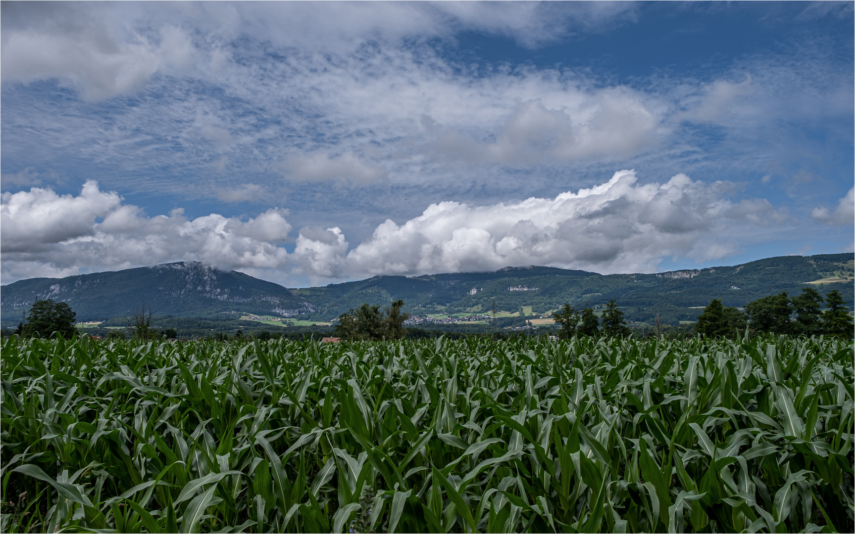 GEWITTERWOLKEN