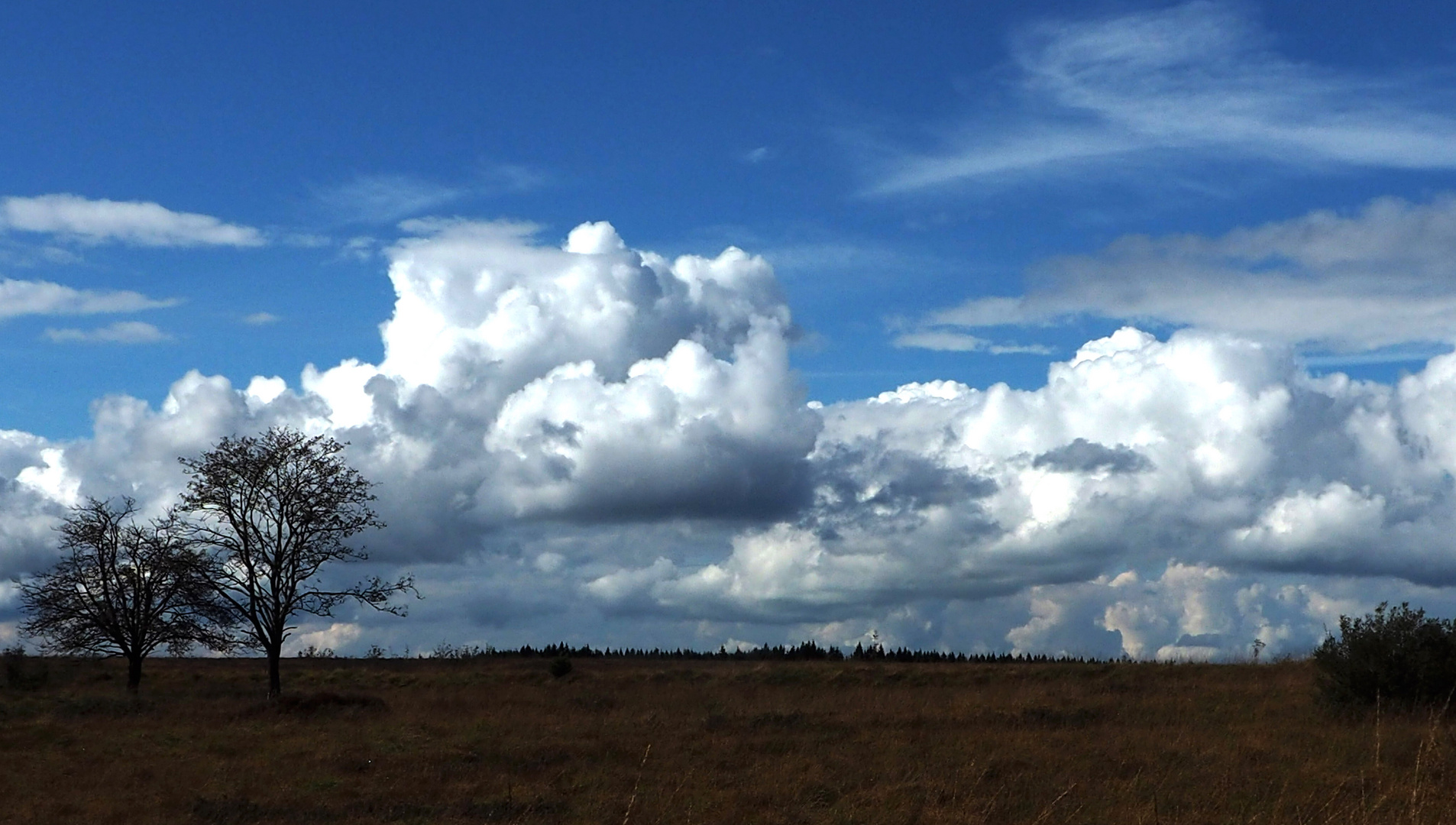 Gewitterwolken im Brack Venn (B)