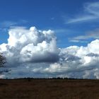 Gewitterwolken im Brack Venn (B)