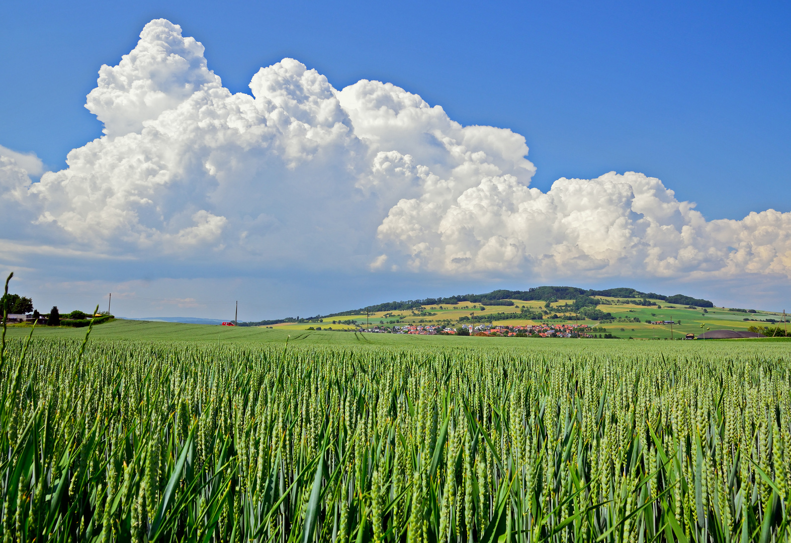 Gewitterwolken im Hegau