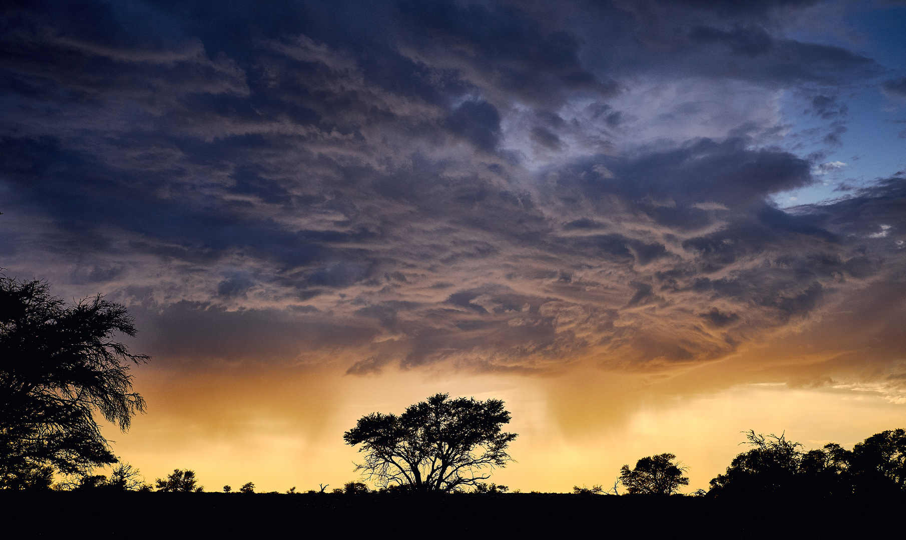 Gewitterwolken in der Kalahari