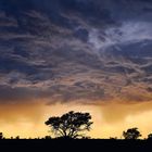 Gewitterwolken in der Kalahari