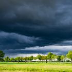 Gewitterwolken über dem Feld