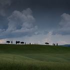 Gewitterwolken über dem Val d'Orcia