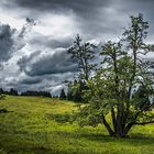 Gewitterwolken über der Alpe Metzeberg