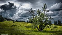 Gewitterwolken über der Alpe Metzeberg