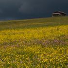 Gewitterwolken über der Seiser Alm