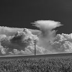 Gewitterwolken über der Vorderpfalz