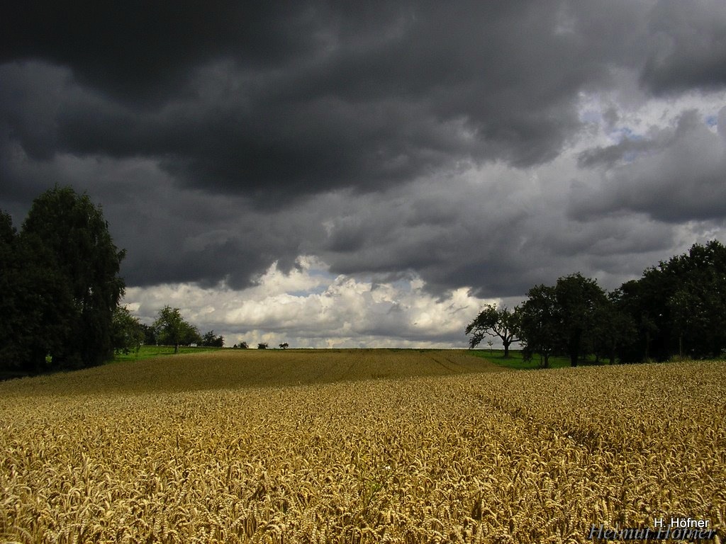 Gewitterwolken über Getreidefeld