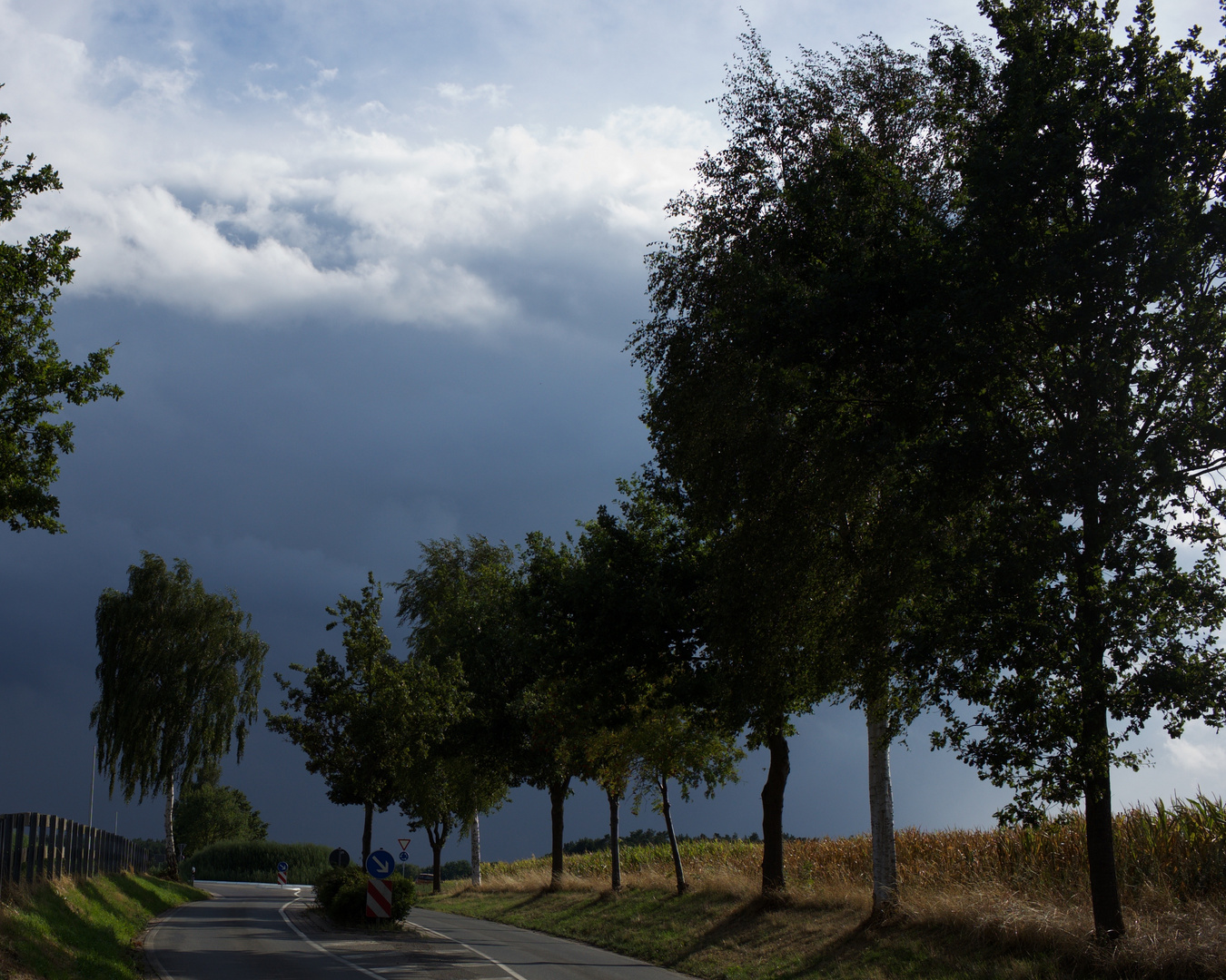 Gewitterwolken ziehen DÜSTER herauf