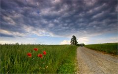 Gewitterwolken zur Sonnwendfeier