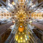 Gewölbe der Gaudi-Kathedrale in Barcelona