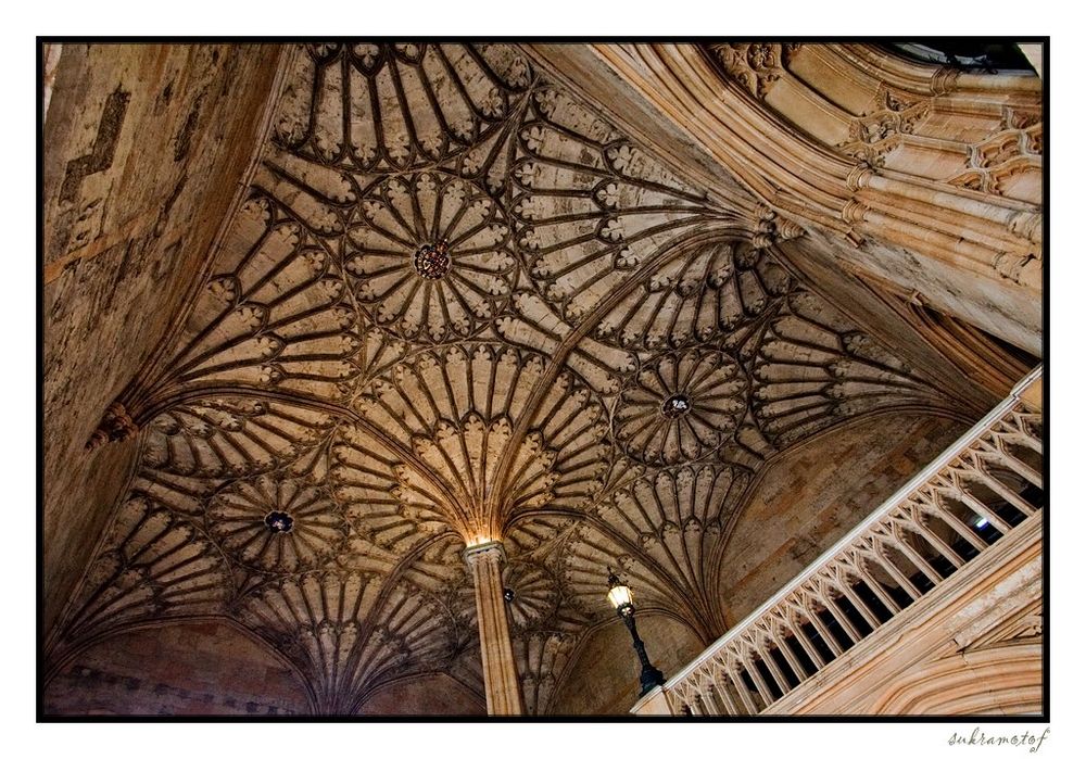 Gewölbe in der Christ Church in Oxford