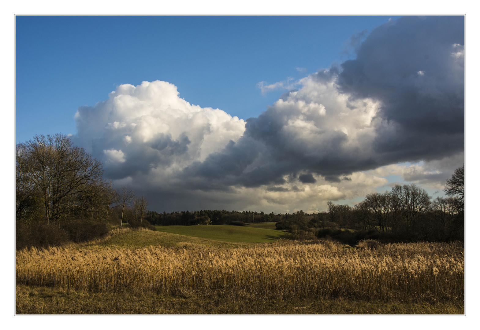 Gewölk Foto & Bild | wald, landschaften, bäume Bilder auf fotocommunity