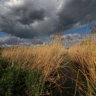 Gewölk über der Tiefen Wiese