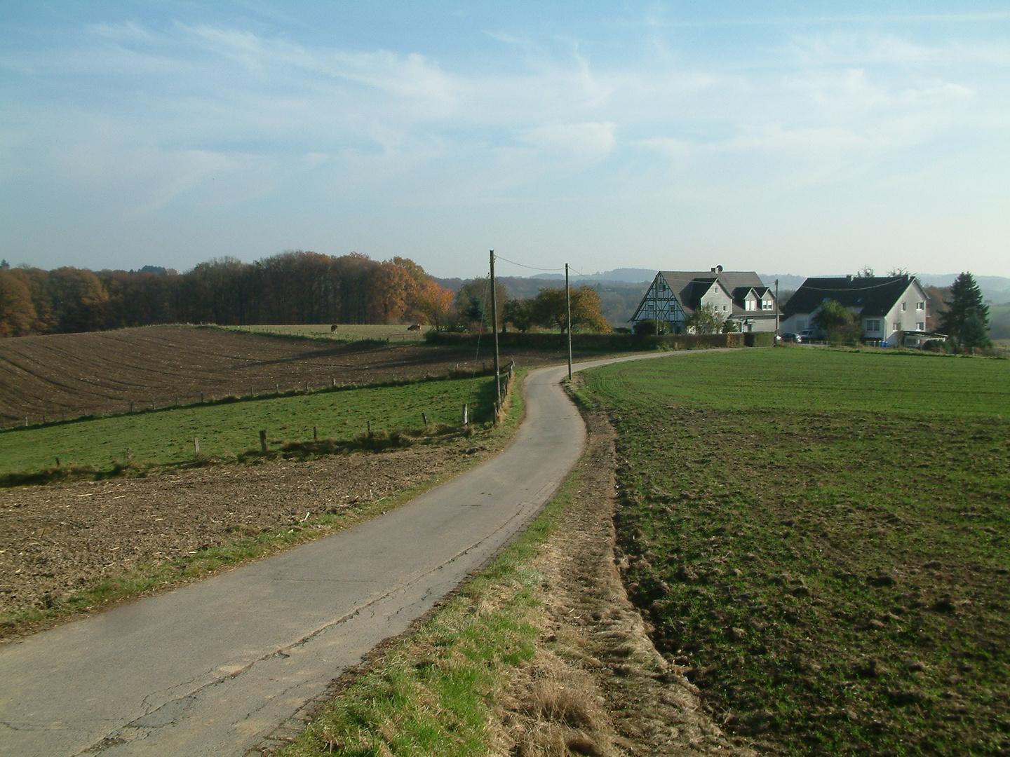 Gewundene Wege