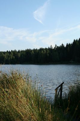 Tolerhans Fotos & Bilder Fotograf aus Zwönitz, Deutschland