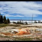 Geyser 4 im Yellowstone Nationalpark