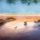 Geyser Basins Yellow Stone NP