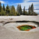 Geyser im Yellowstone National Park 3