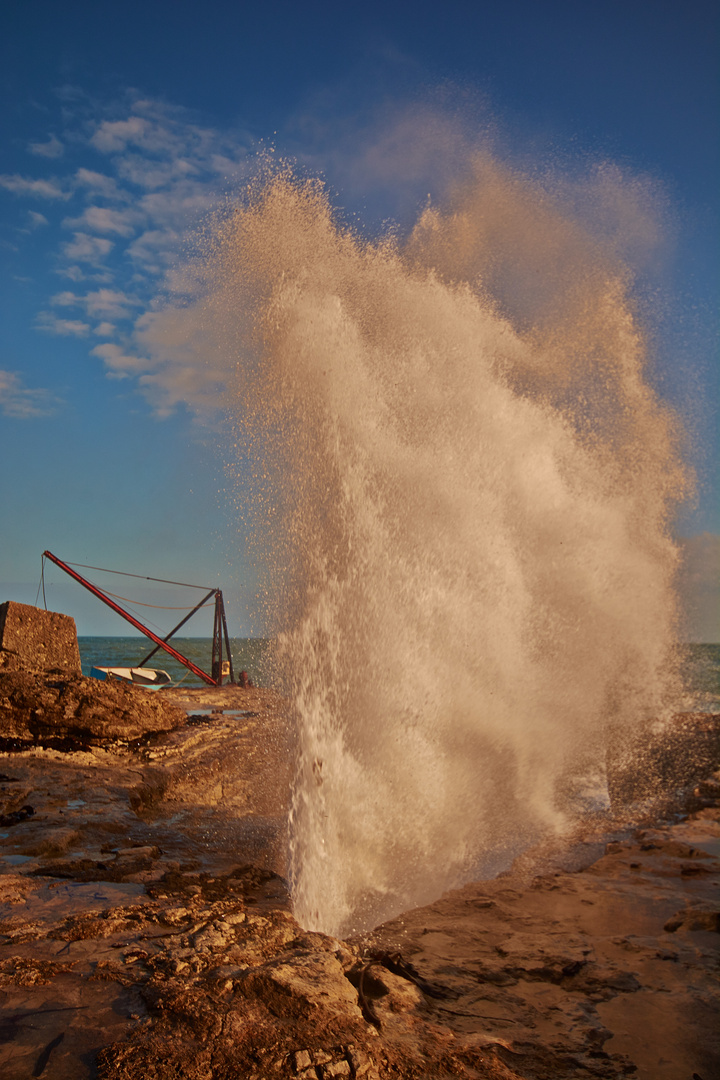 Geyser in Portland