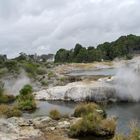 Geysers à Rotorua en Nouvelle-Zélande