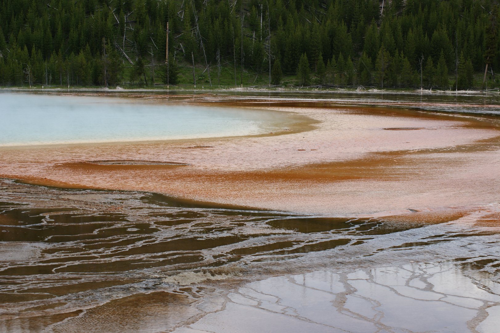 geysers (Yellowstone NP)