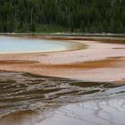 geysers (Yellowstone NP)