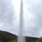 Geysir Andernach