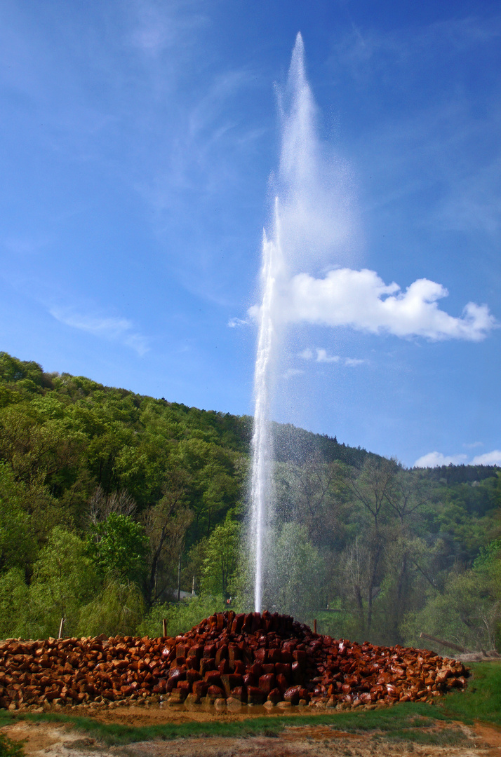 Geysir Andernach