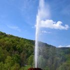 Geysir Andernach