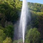 Geysir Andernach