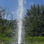 Geysir Andernach