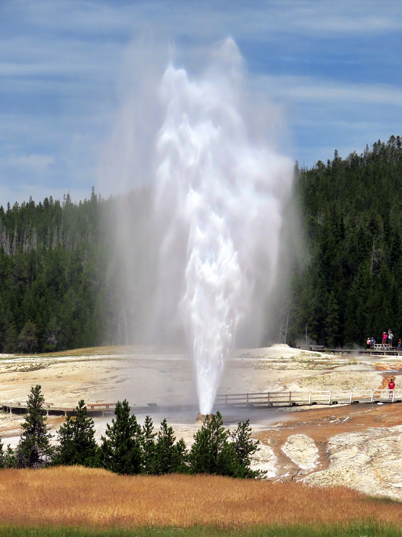 Geysir