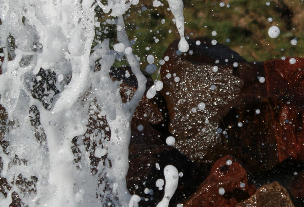 Geysir im Detail