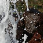 Geysir im Detail