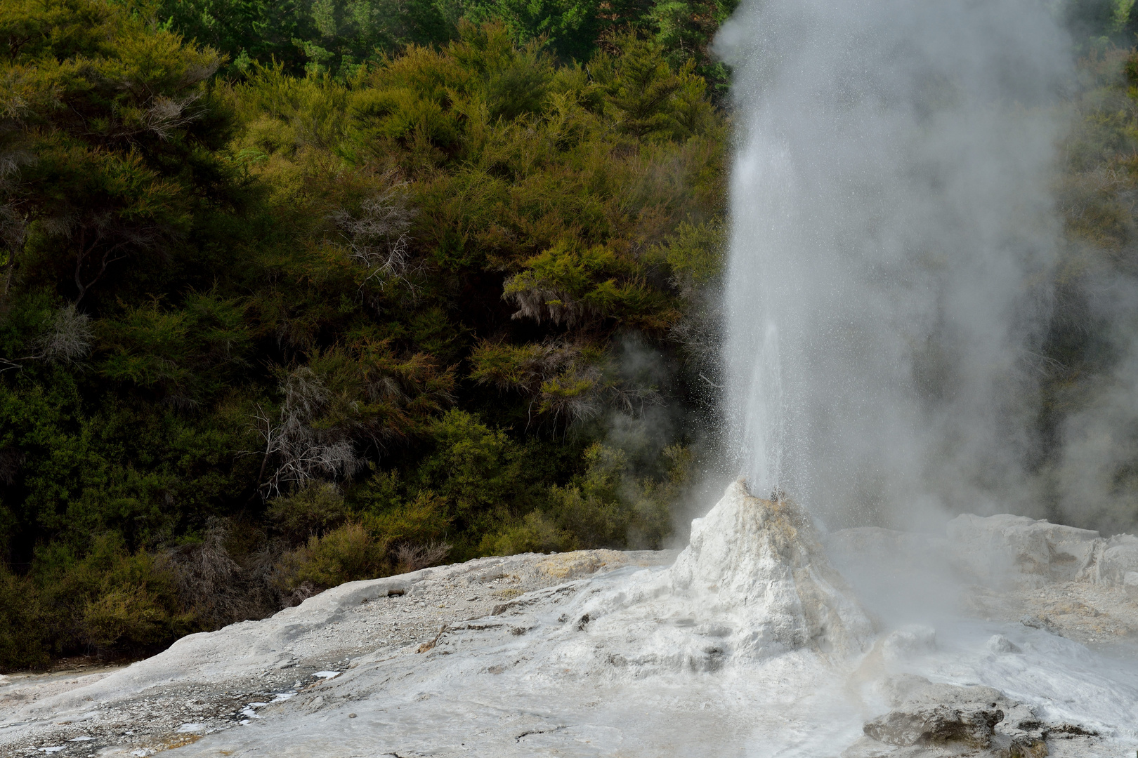 Geysir im Wai-O-Tapu