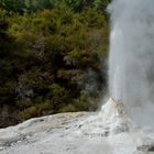 Geysir im Wai-O-Tapu