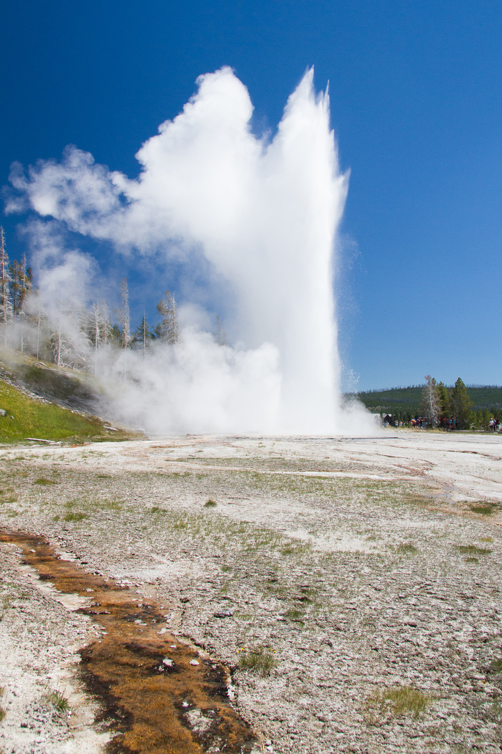 Geysir im Yellowstone