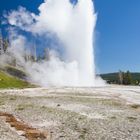 Geysir im Yellowstone